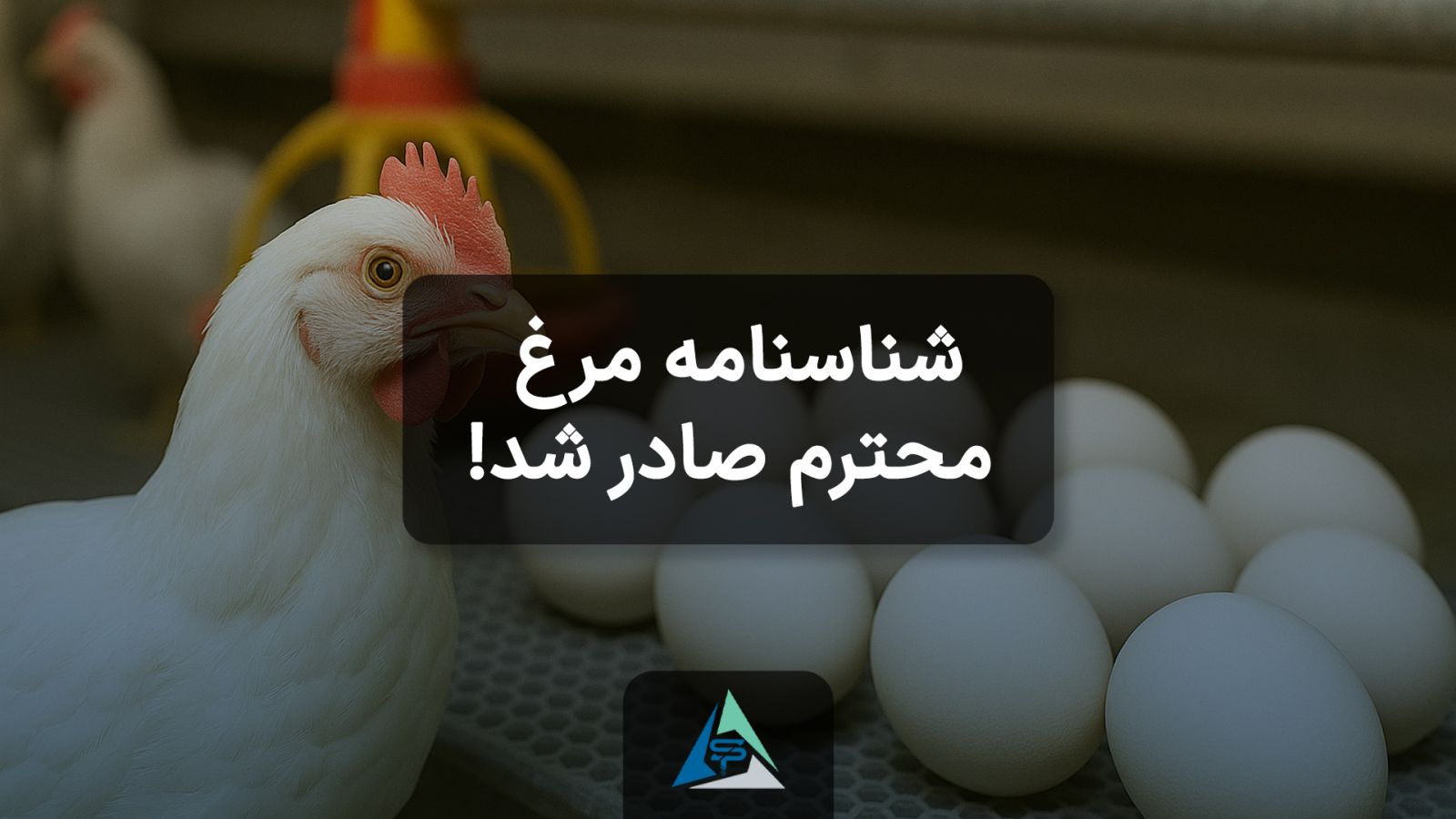 شناسنامه مرغ محترم صادر شد!